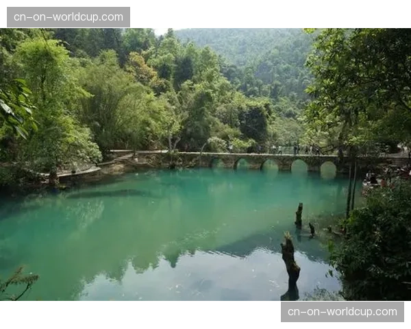 DAZN意甲解说团队人事变动，资深评论员因健康原因提前离任